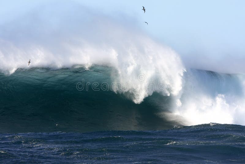 Huge surf at Cape Banks, Sydney, Australia.