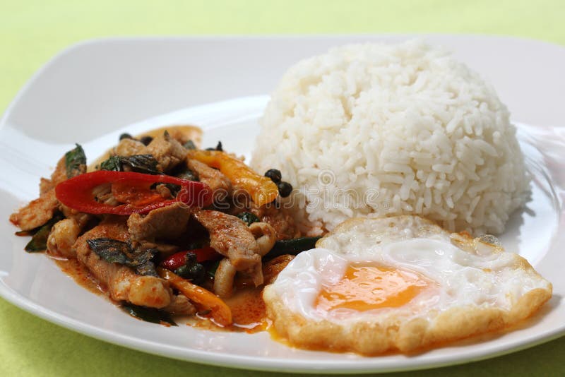 Huhn-panang Curry mit Reis stockbild. Bild von siamesisch - 39593935