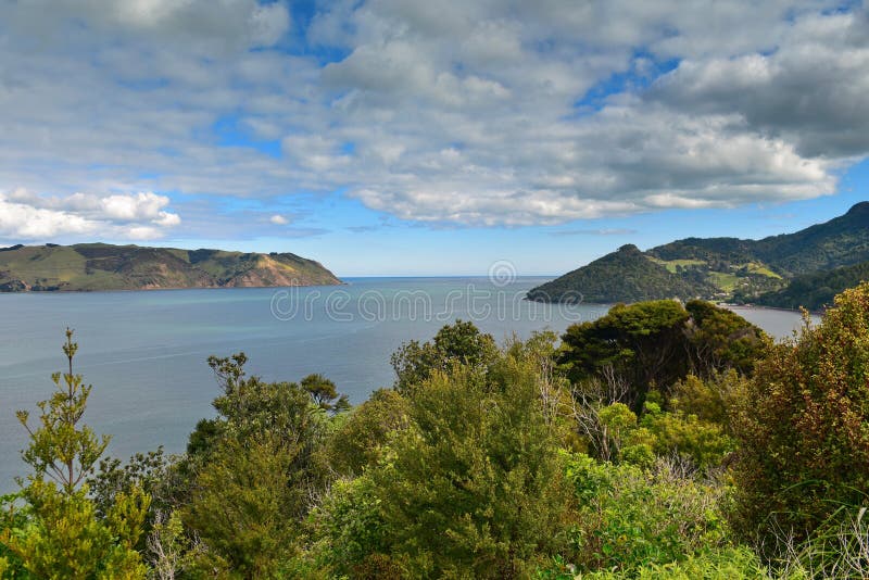 Huia Point Lookout, overlooking the bay in West Auckland