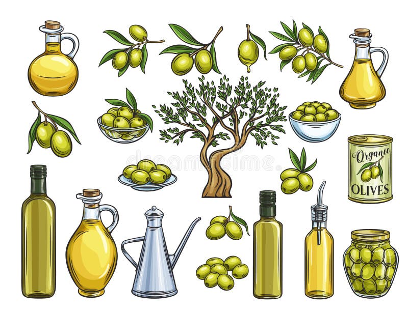 Hand drawn colored olives, tree branches, glass bottle, jug , metal dispenser and olive oil. Vector illustration outline in retro sketch style. Hand drawn colored olives, tree branches, glass bottle, jug , metal dispenser and olive oil. Vector illustration outline in retro sketch style.