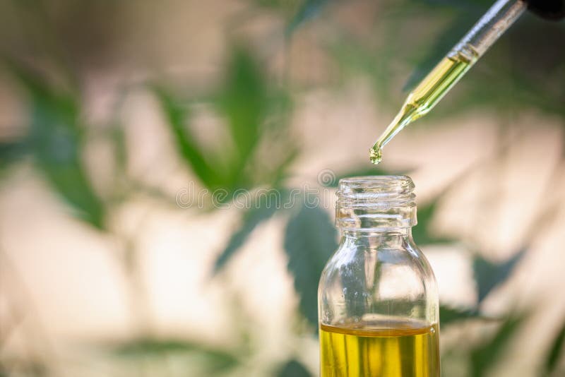 Huile de chanvre, produits médicaux de marijuana comprenant la feuille de cannabis, cbd et huile de gâchis, médecine parallèle photographie stock libre de droits Huile de chanvre, produits médicaux de marijuana comprenant la feuille de cannabis, cbd et huile de gâchis, médecine parallèle photographie stock libre de droits