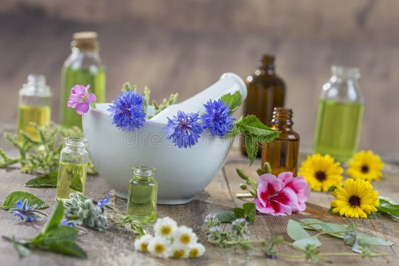 Huiles essentielles pour le traitement d'aromatherapy avec les herbes fraîches à l'arrière-plan de blanc de mortier images stock Huiles essentielles pour le traitement d'aromatherapy avec les herbes fraîches à l'arrière-plan de blanc de mortier images stock