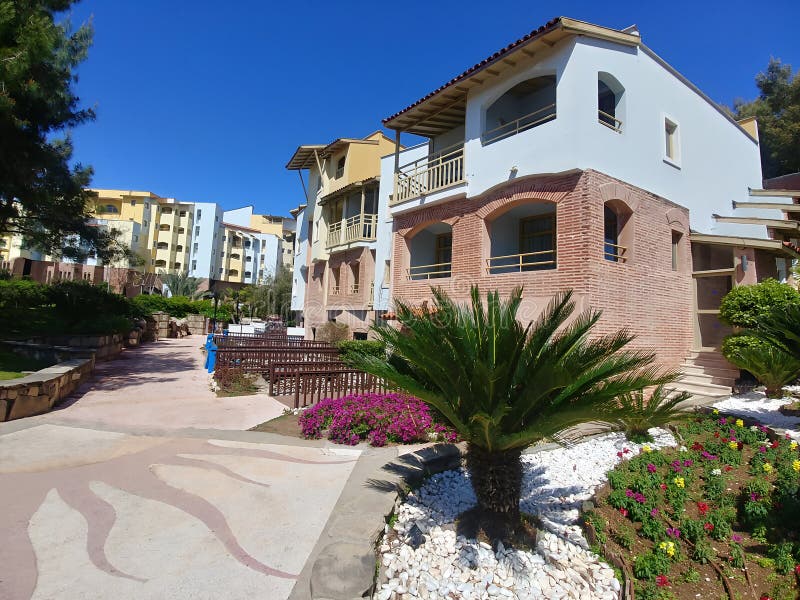 Huis met een grote palmboom ervoor royalty-vrije stock foto