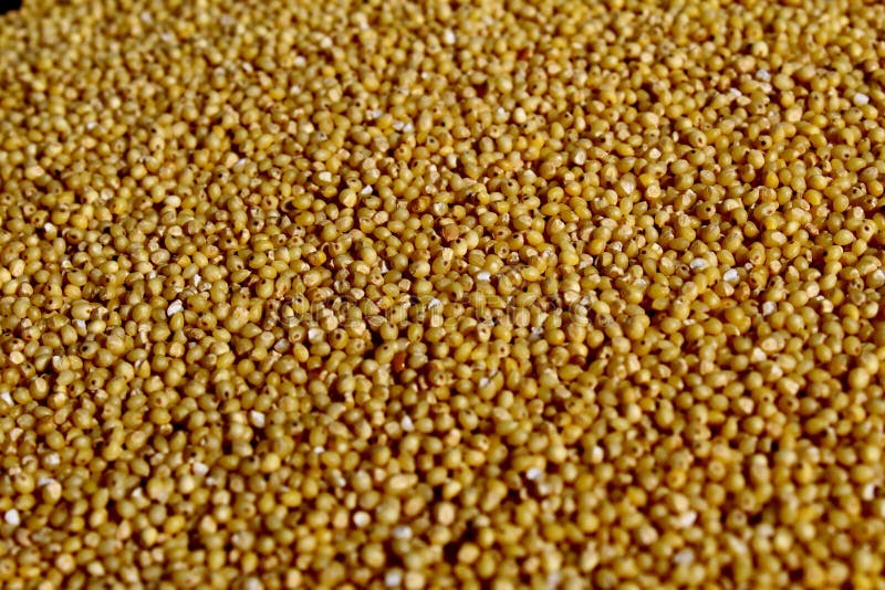 Hulled millet stock image. Image of full, textured, selective 89660029