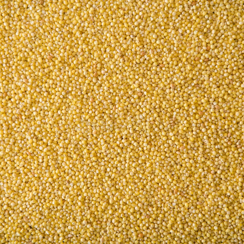 Hulled Millet