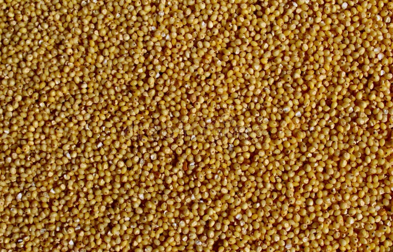 Hulled millet stock image. Image of cereal, full, textured 89659891