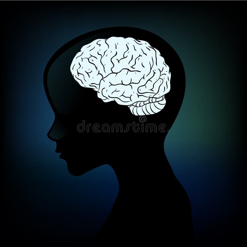 Human anatomical profile silhouette with a brain vector illustration