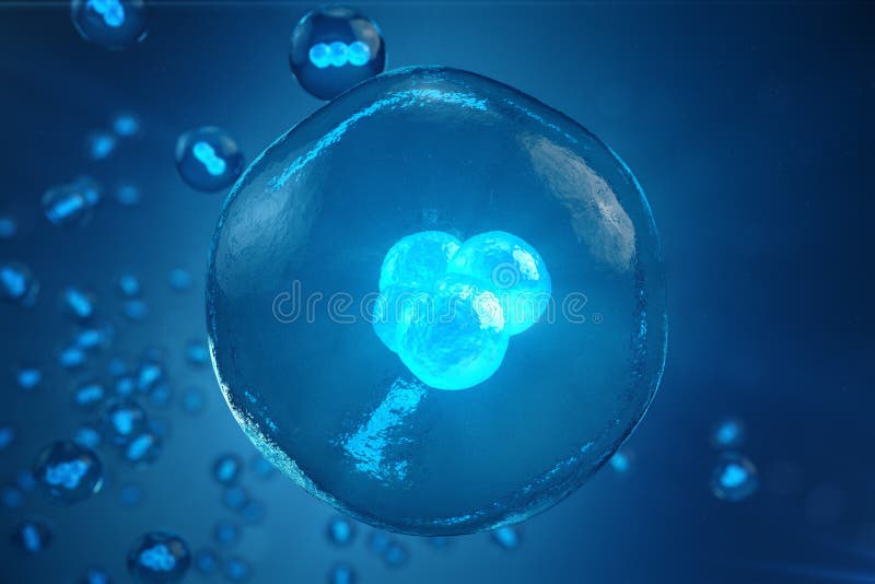Human or Animal Cells on Blue Background. Concept Early Stage Embryo Medicine Scientific Concept, Stem Cell Research and Stock Illustration - Illustration of abstract, healthcare: 107603403 Human or Animal Cells on Blue Background. Concept Early Stage Embryo Medicine Scientific Concept, Stem Cell Research and Stock Illustration - Illustration of abstract, healthcare: 107603403