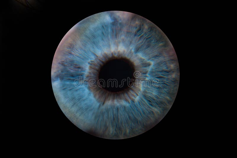 946 Eye Blue Iris Black Background Stock Photos - Free & Royalty-Free Stock  Photos from Dreamstime