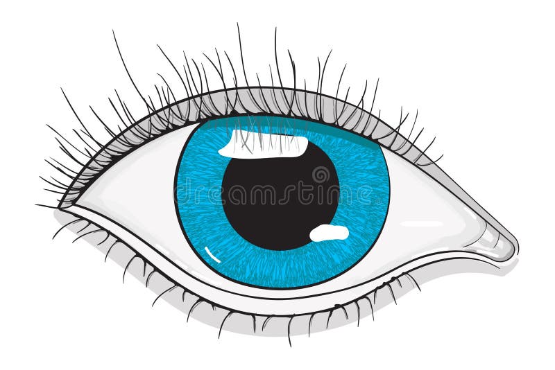 Human blue eye stock illustration