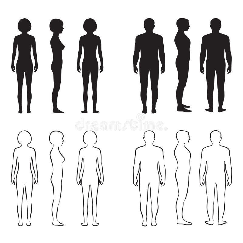 Male and Female Body Outline Stock Vector - Illustration of