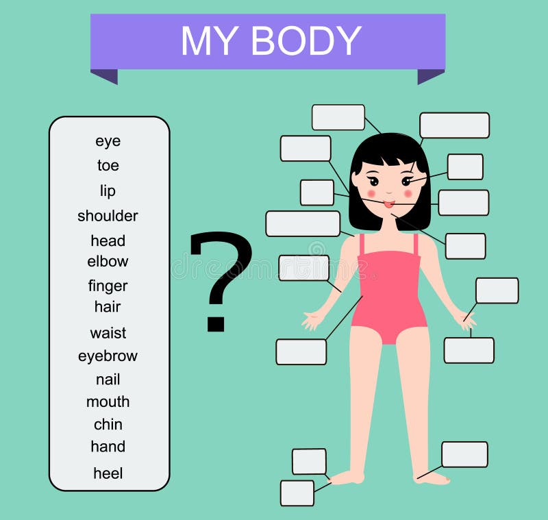 Muscles - Science Quiz - Seterra Geography Games