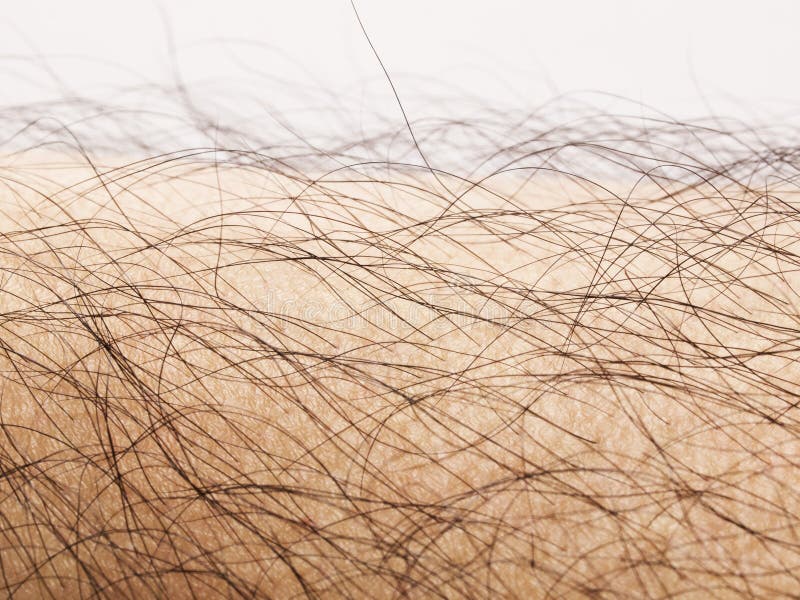 Human body hair stock image. Image of limb, body, horizontal 20907123