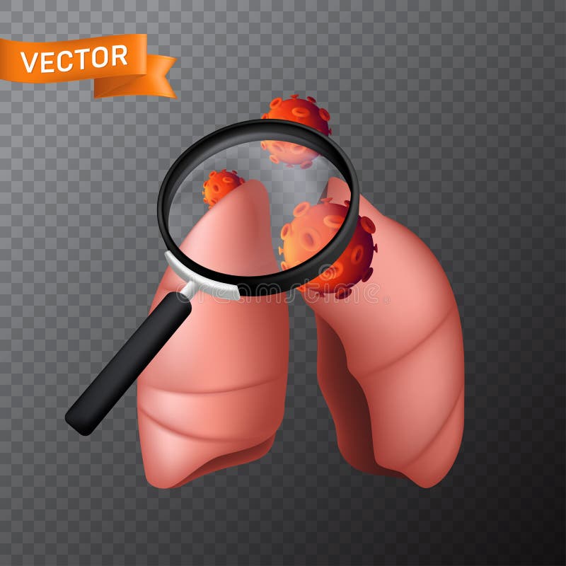 Human body lungs under a magnifying glass with viral cells. Vector medical illustration of finding virus or search in the internal