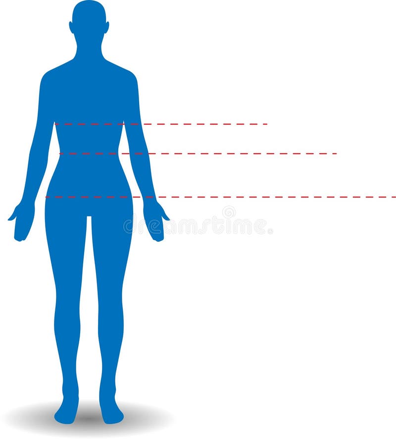 Body Measurement Chart Stock Illustrations 830 Body Measurement Chart Stock Illustrations