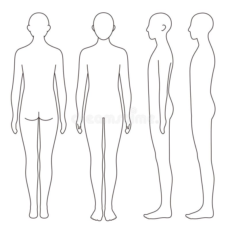 Human Body Outline Front Back Stock Illustrations – 656 Human Body Outline Front  Back Stock Illustrations, Vectors & Clipart - Dreamstime