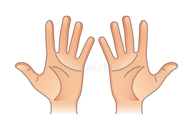 Human Body Parts. Male and Female Hands. Left and Right Stock Vector