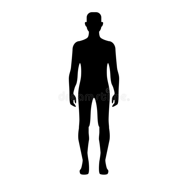 Human Body Shape Vector Art. Stock Vector - Illustration of body, male