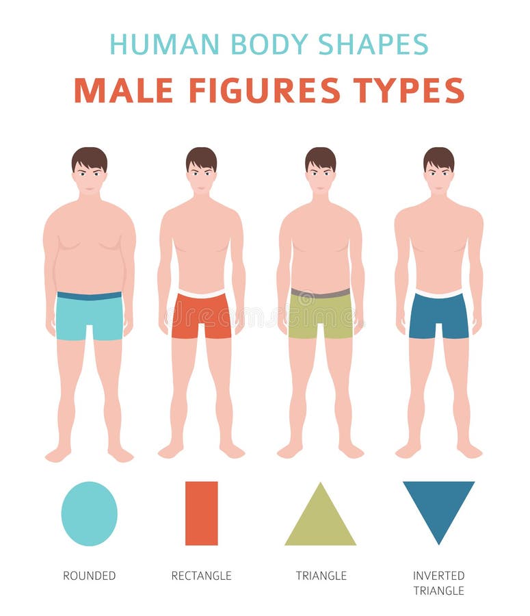 Human Body Shapes. Male Figures Types Set Stock Vector - Illustration ...