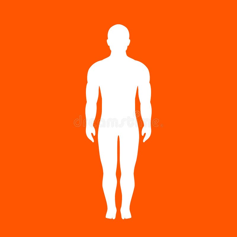 Human Body Vector Silhouette Stock Vector Illustration Of Black