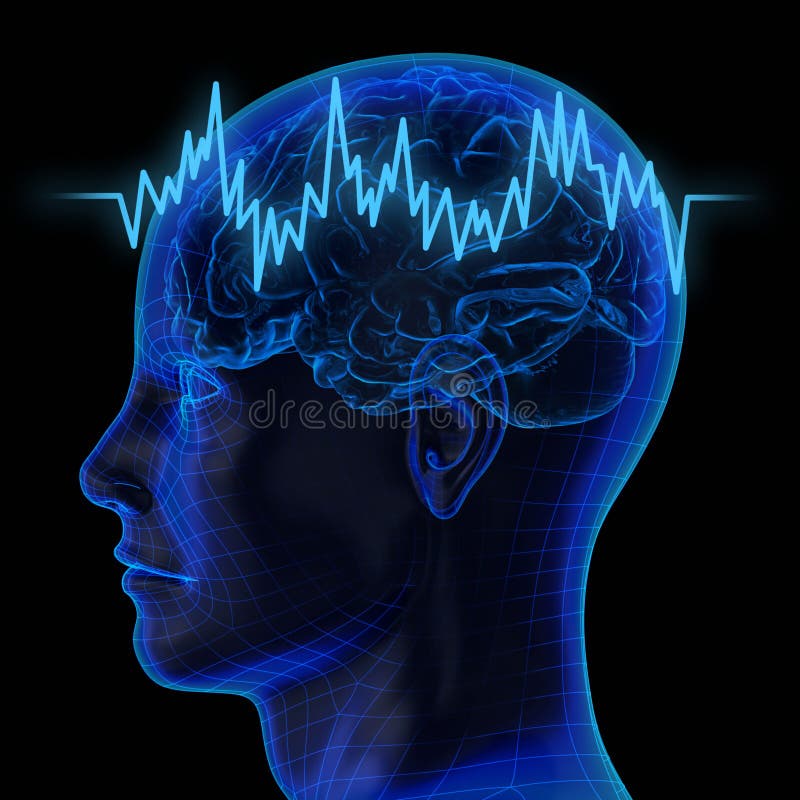 Muy alto solución  una imagen tridimensional creada usando un modelo de computadora de hombre cerebro.