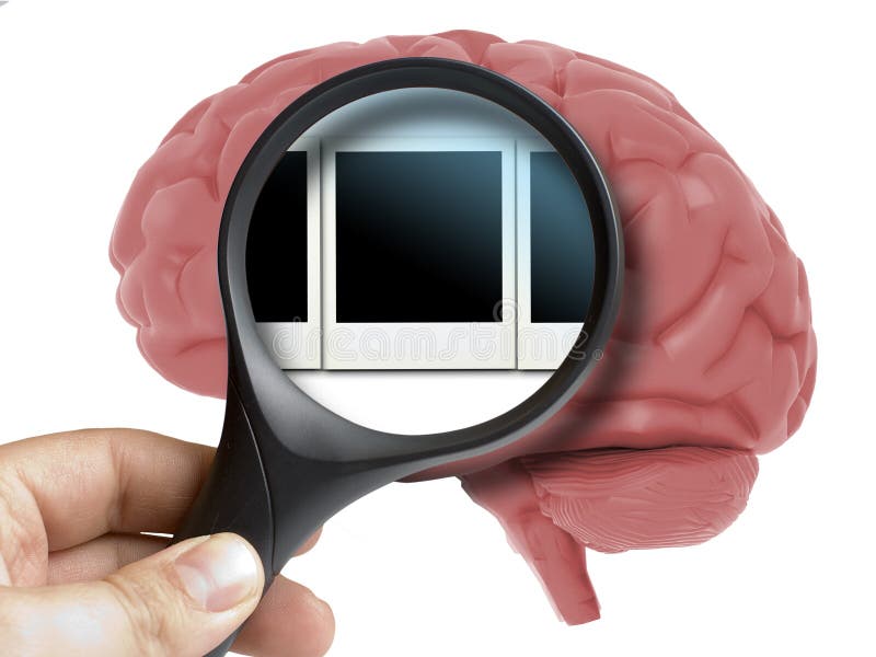 Human Brain Analyzed with magnifying memories polaroid snapshots inside isolated stock image