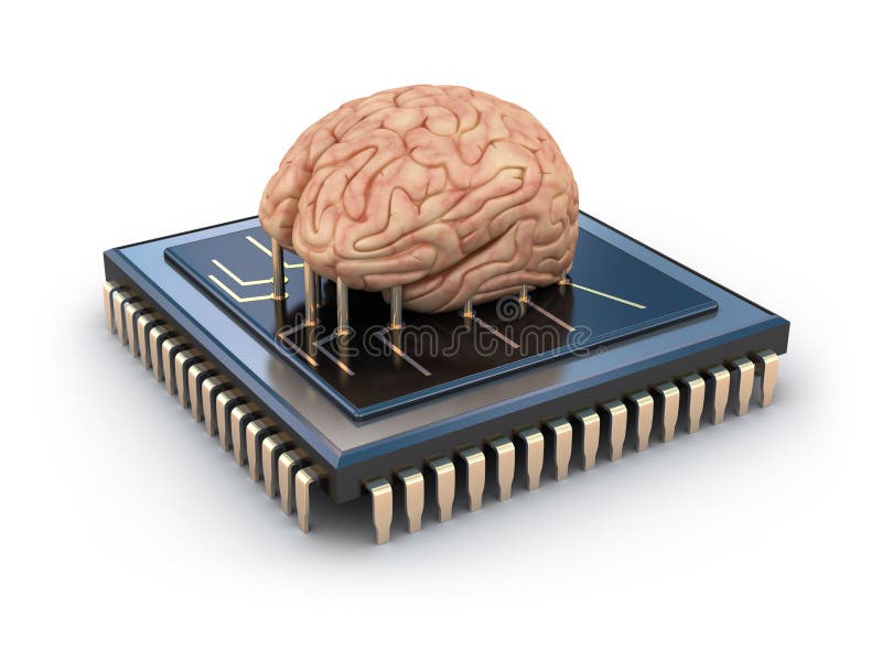 Human brain and computer chip stock illustration