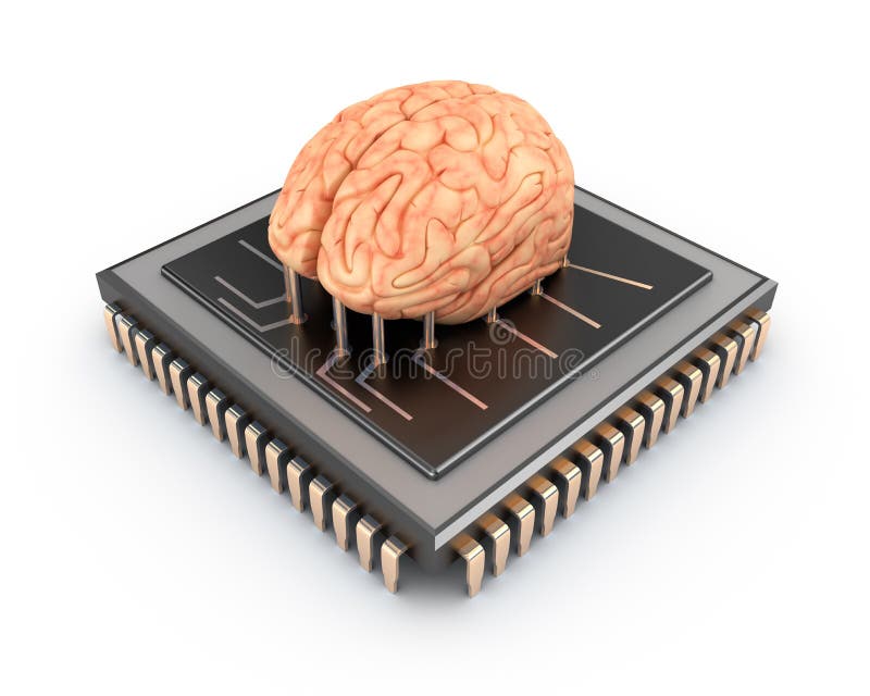 Human brain and computer chip stock illustration
