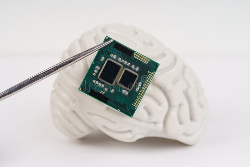 Human brain and computer chip. Microprocessor in the head, on a white background.
