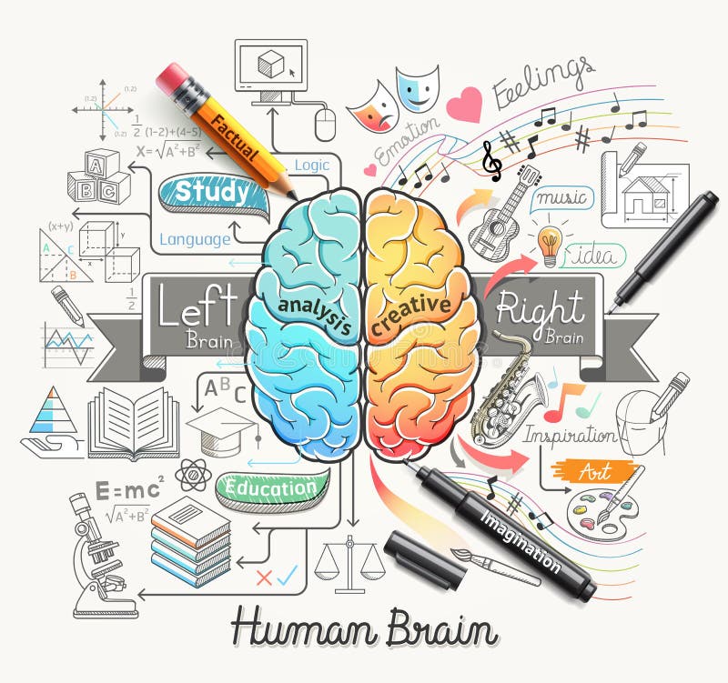 Il cervello umano diagramma di scarabocchi icone di stile.