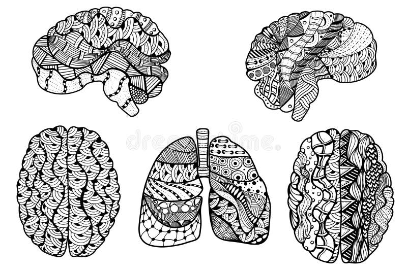 Set of Zentangle Sketchy Human Brain and lungs doodle decorative curves outline ornamental seamless pattern