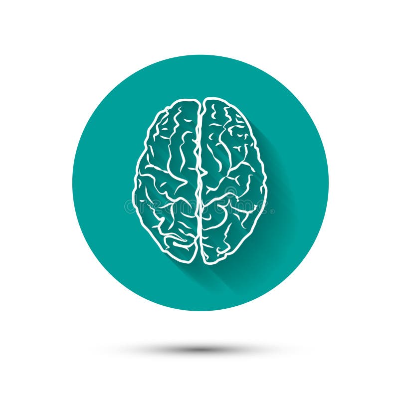 Human brain vector icon flat illustraton with vector illustration