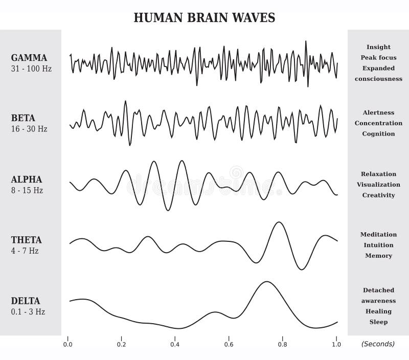 Brainwave Chart