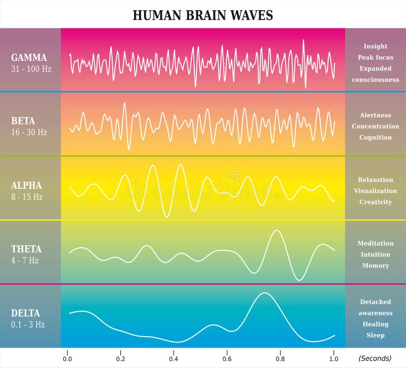 Human Brain Waves Diagram in Rainbow Colors with Explanations - Alpha Beta Gamma Theta Delta Frequencies