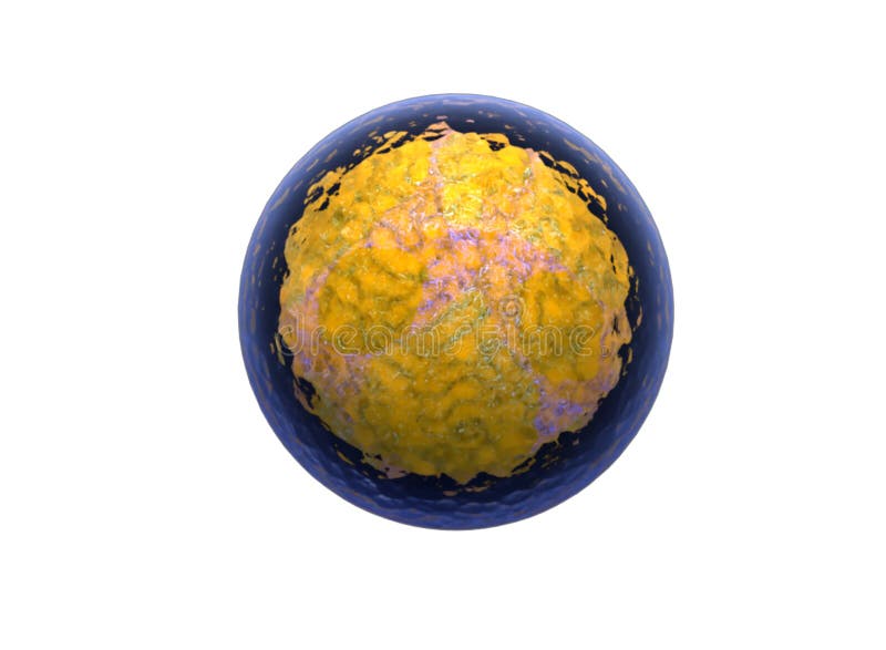 Human Cell or Animal Cell. Nucleolus, Nucleus, 3d Stem Cell. Stock  Illustration - Illustration of ribosomes, level: 176636764