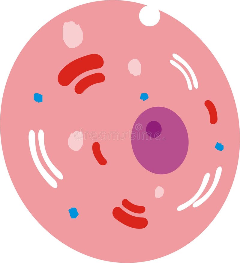 Human Body Cell Stock Illustrations – 27,676 Human Body Cell Stock Illustrations, Vectors & Clipart - Dreamstime Human Body Cell Stock Illustrations – 27,676 Human Body Cell Stock Illustrations, Vectors & Clipart - Dreamstime