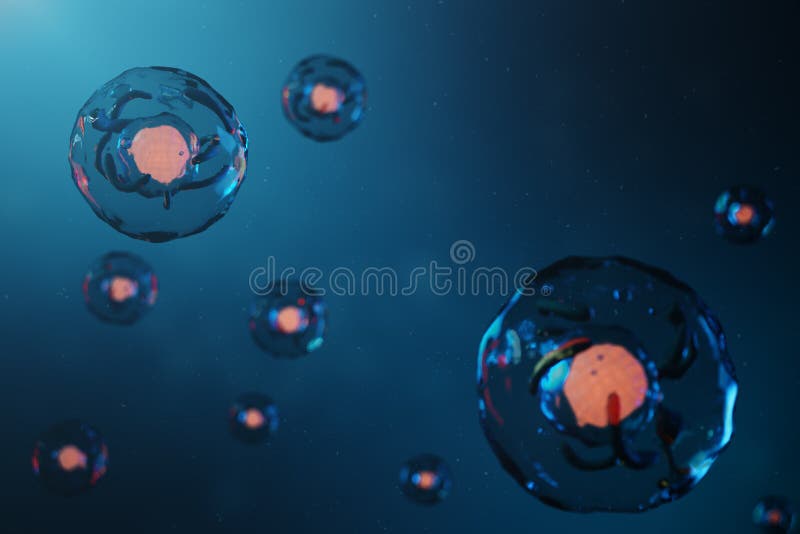 45,184 Human Cell Stock Photos - Free & Royalty-Free Stock Photos from Dreamstime 45,184 Human Cell Stock Photos - Free & Royalty-Free Stock Photos from Dreamstime