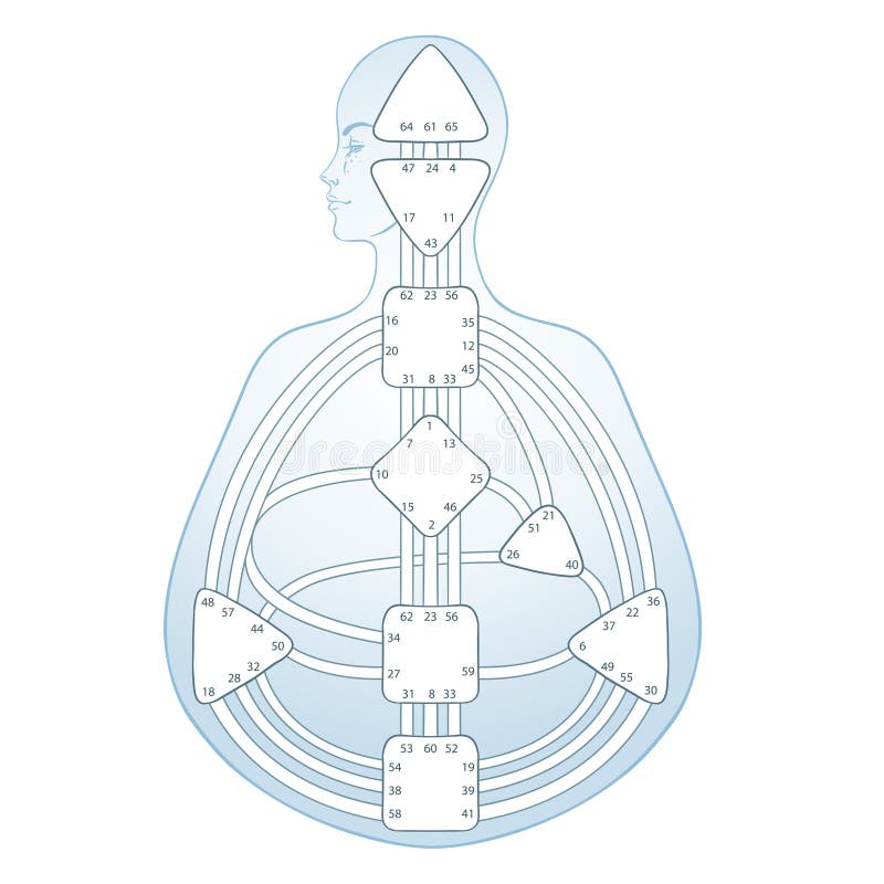 Human design bodygraph chart design. Vector isolated illustration.