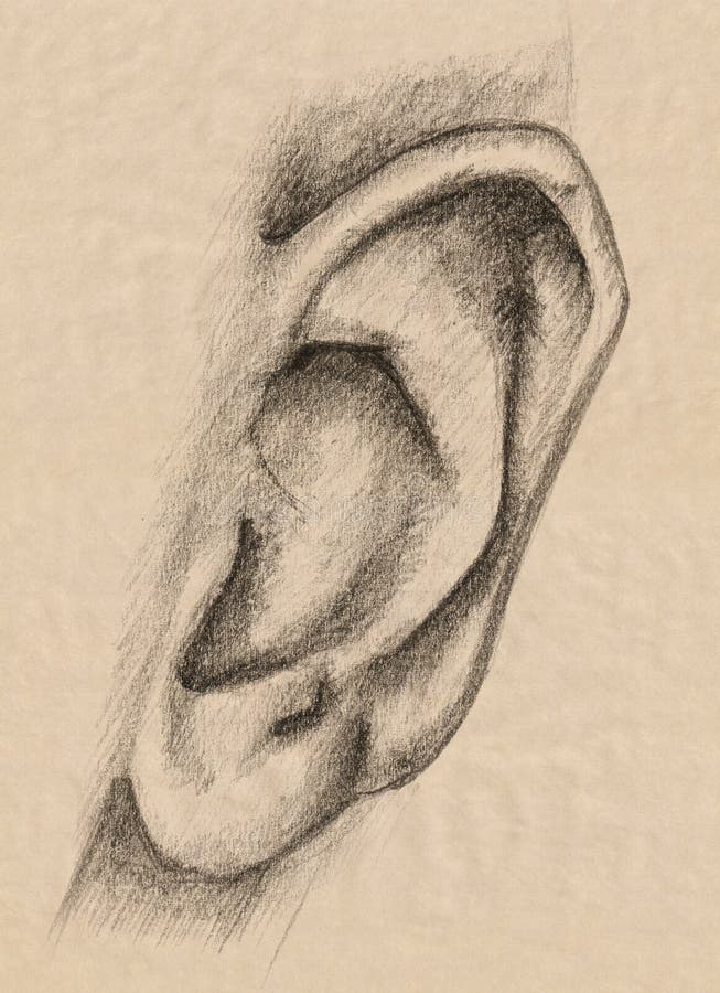 Human ear stock illustration Human ear stock illustration