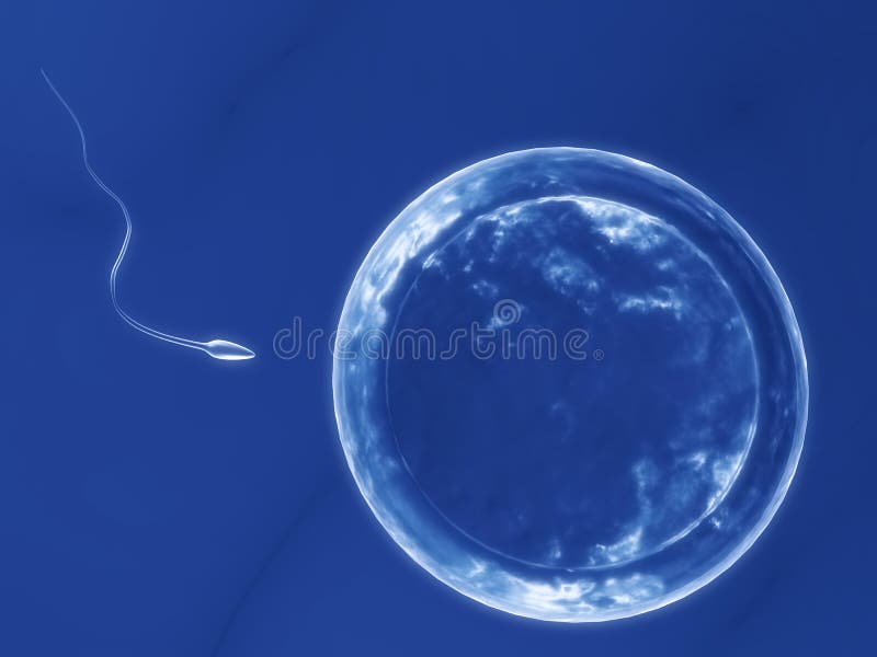 Tridimensional fusionado ilustraciones de hombre huevos esperma.