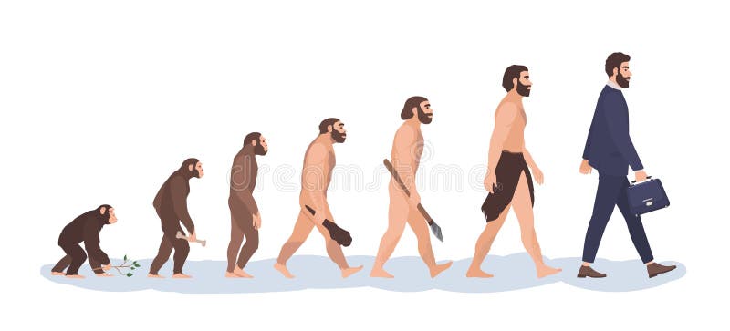 Human evolution stages. Evolutionary process and gradual development visualization from monkey or primate to businessman vector illustration Human evolution stages. Evolutionary process and gradual development visualization from monkey or primate to businessman vector illustration