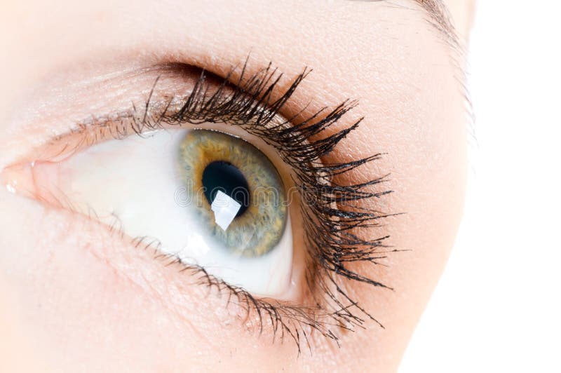 Human eye stock photography