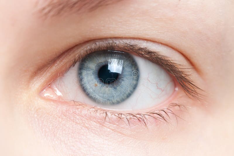 Human eye closeup stock image. Image of open, blue, iris 22274231