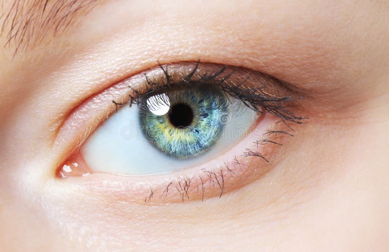 Human Eye stock photography