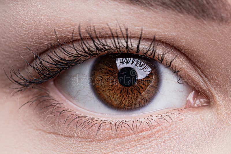 Human eye iris close up stock image. Image of eyesight 172651349