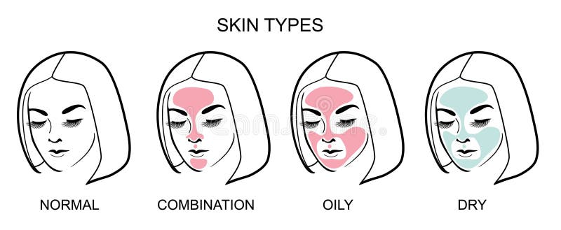 Several types of human face vector illustration