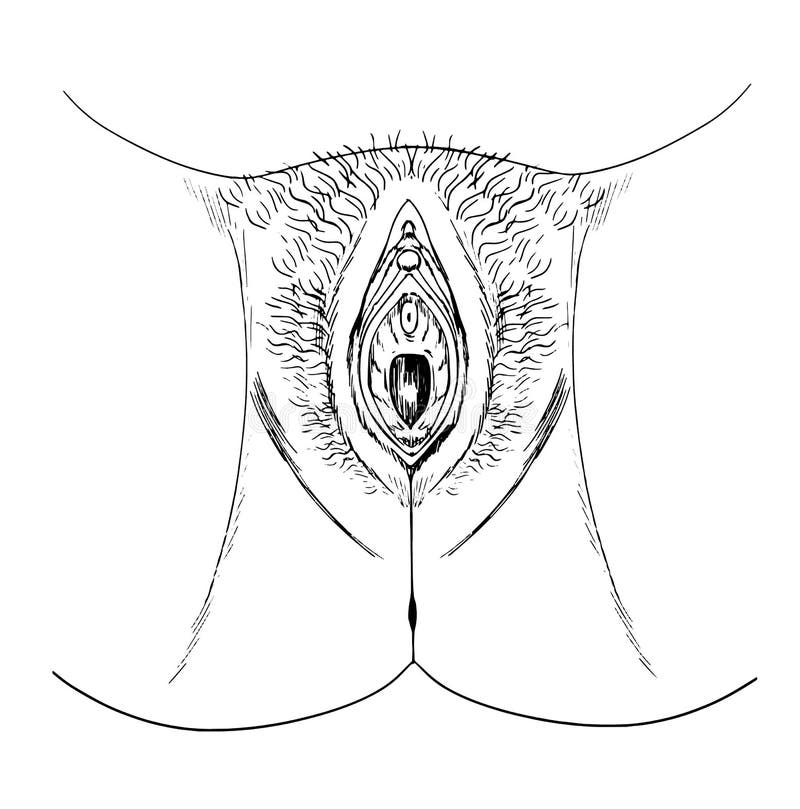 Female Genitalia