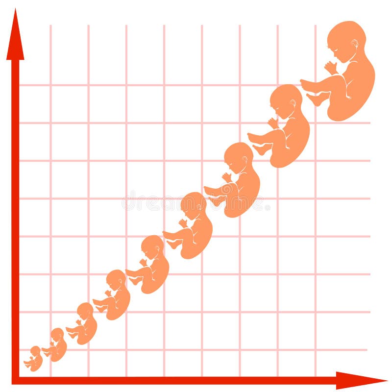 Child Growth Chart