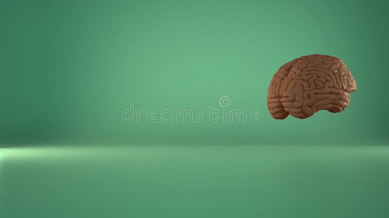 Floating Brain with a Keyhole and a Key on White Stock Photo - Image of  detailed, copy: 252806910