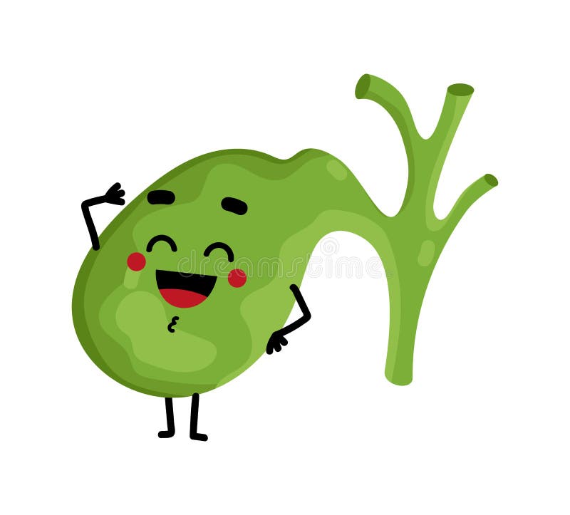 Human gallbladder cute cartoon character stock illustration Human gallbladder cute cartoon character stock illustration